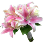 Lilly.rose様 il_340x270.4844637235_3r2u.jpg